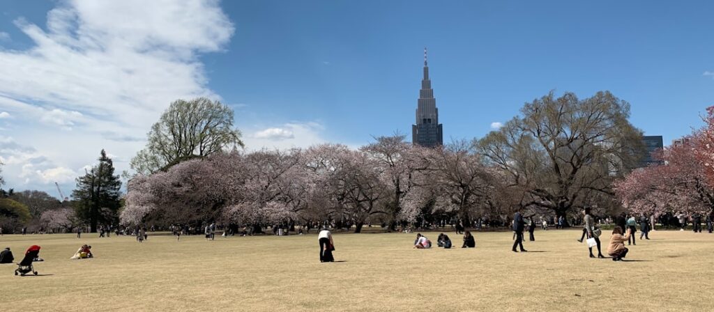Best Time to Visit Tokyo with Kids: Month-by-Month Guide