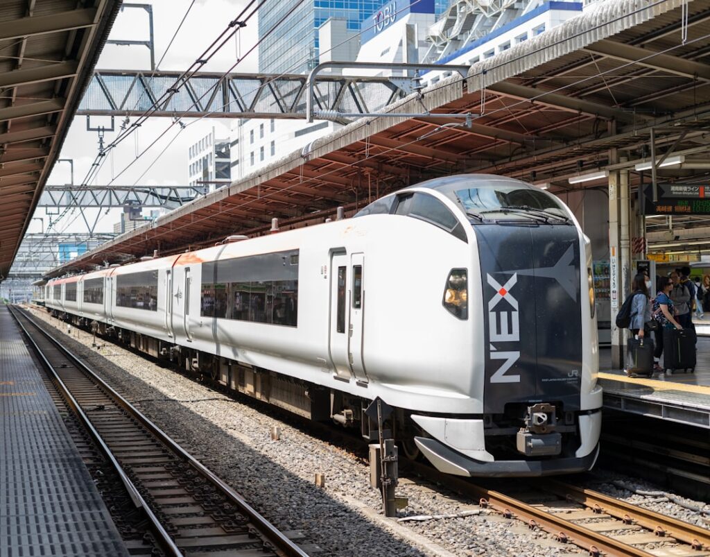 Narita Express (N-EX) train with travelers and luggage