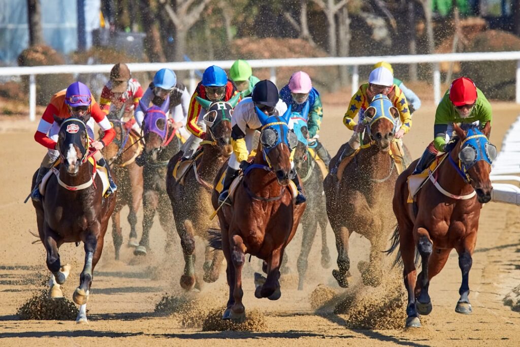 Horse race at a Japanese racecourse