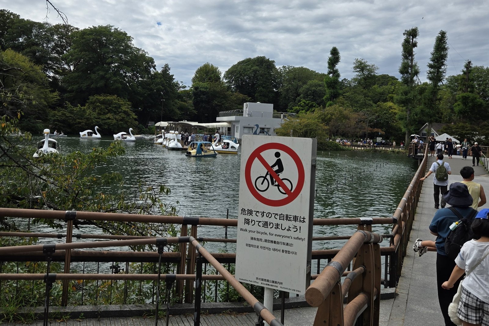 Wide view of Inokashira Park's central pond with swan boats on the water under an overcast sky.