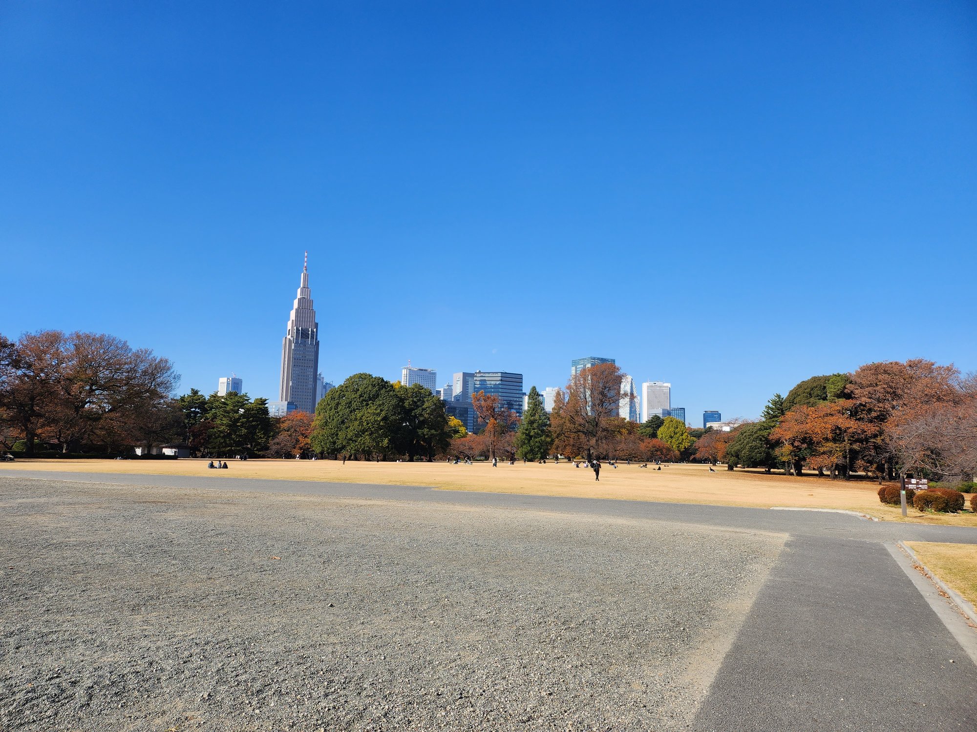 The Shinjuku skyline seen across the open lawn at Shinjuku Gyoen.
